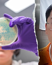 375e9ba982449c3afeb3ee2ab0347dd0