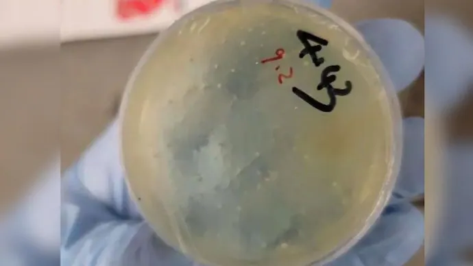 chinese-scientist-103850475-16x9_0