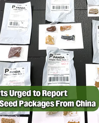 Unsolicited Seeds, Silent Risks: How China-Linked Shipments Expose a Growing Biosecurity Threat to the United States